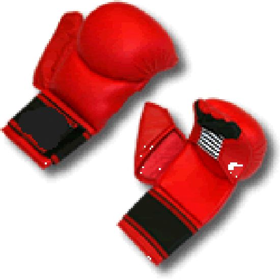 Karate Mitts Elite With Thumb Protection - Click Image to Close