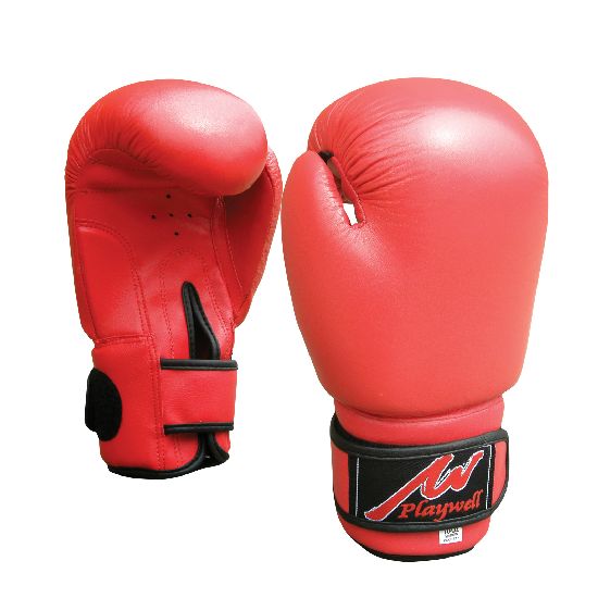 Proffessional Leather Boxing Gloves - Click Image to Close