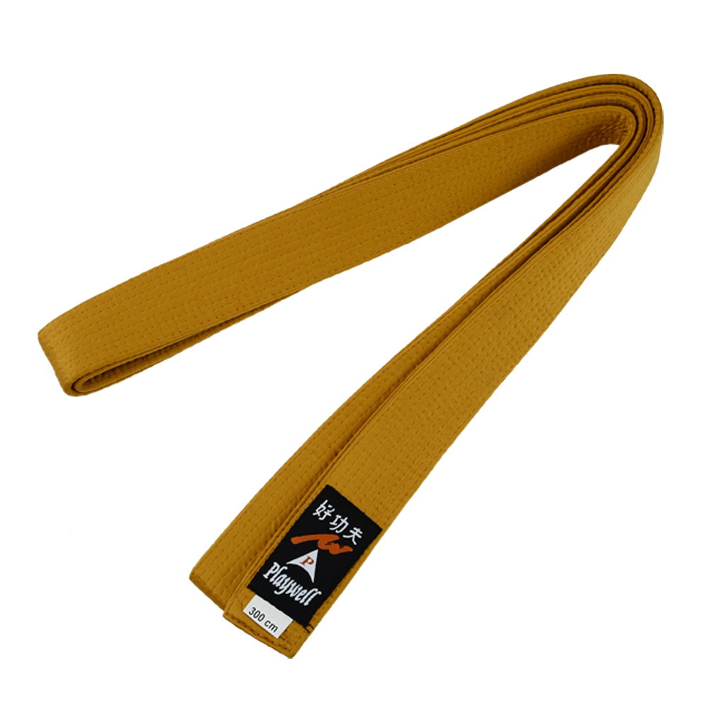 Choi Belt: Solid Plain Gold Belt - Click Image to Close