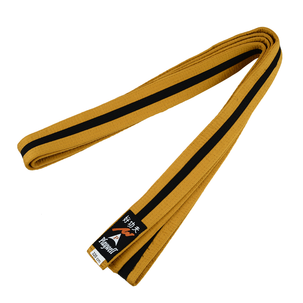 Choi Belt: Satin Gold Belt With Black Stripe - Click Image to Close