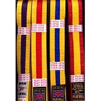 Playwell Striped Coloured Grading Belts 280CM Karate Judo Taekwondo Martial Arts 