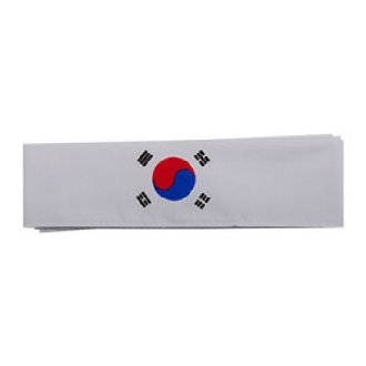 Korean Flag Headband 01