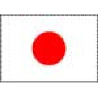 Japanese Flag