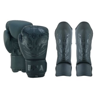 PMA Twin Tigers Muay Thai Boxing Gloves & Shin Pads Set - Black