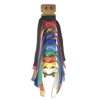 Martial arts 10 Step Wall Mounted Belt Display