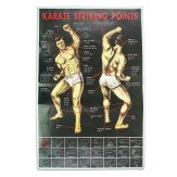 Karate Martial Arts Striking Points Poster