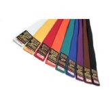 Solid Coloured Belts