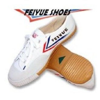 Childrens Feiyue Wushu Training Shoes : White