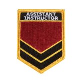 Assistant Instructor Shoulder Patches - P80