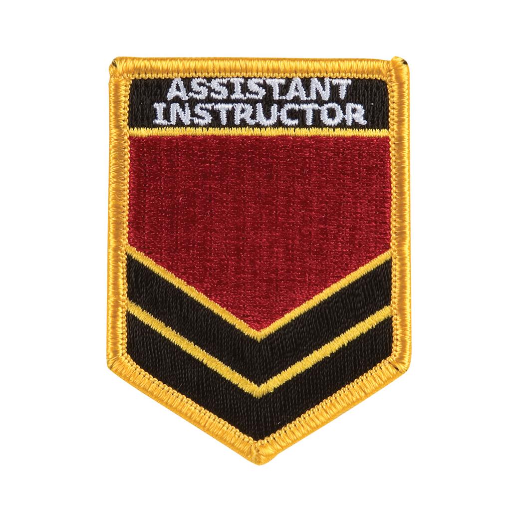 Assistant Instructor Shoulder Patches - P80 - Click Image to Close