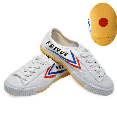 Dafu Feiyue Wushu Training Shoes : WHITE - Click Image to Close