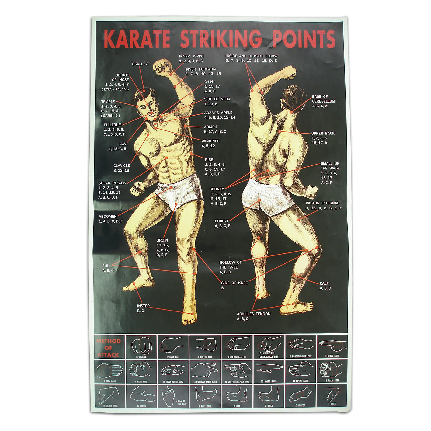 Karate Martial Arts Striking Points Poster - Click Image to Close