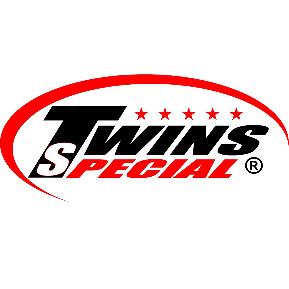 TWINS