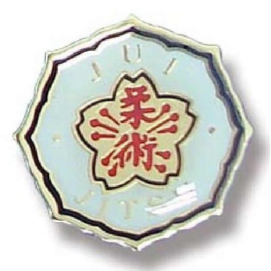 Ju-Jitsu Lapel Badge 10 - Click Image to Close